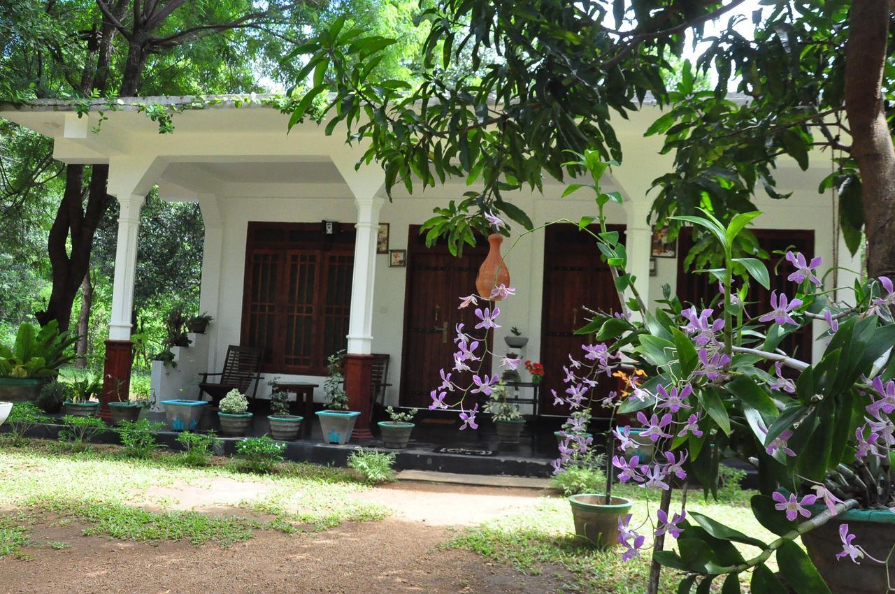 Sigiriya Flower Guest 외부 사진